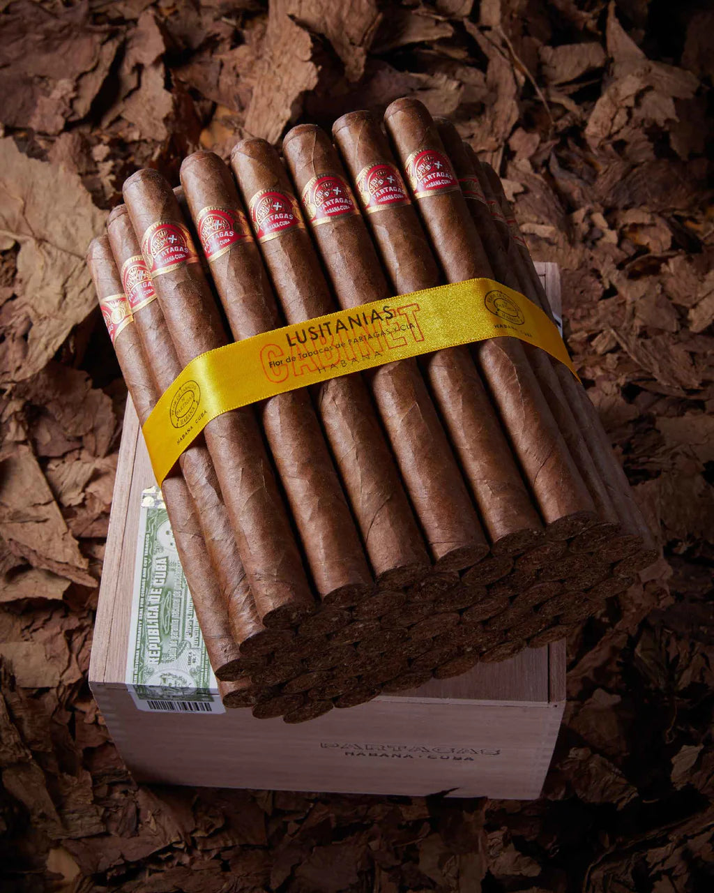 Partagas Lusitanias